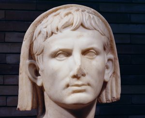 Testa velata dell